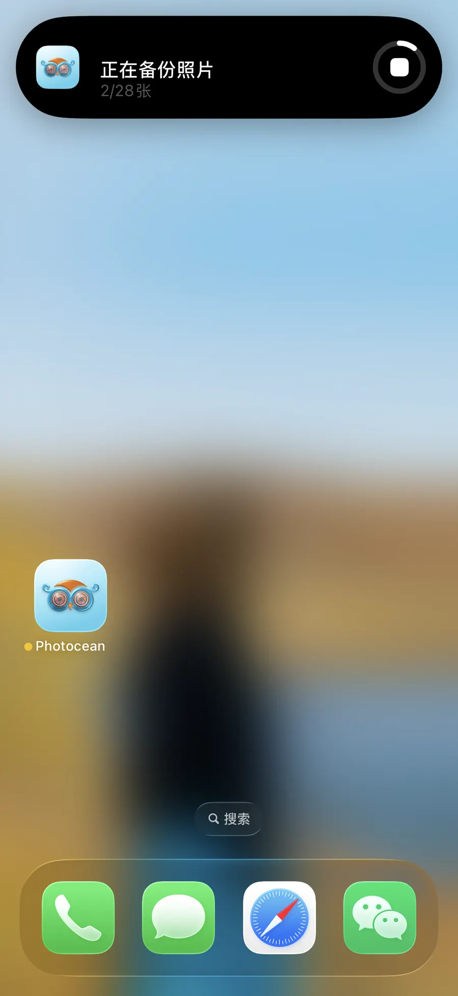 Backing up · Dynamic Island