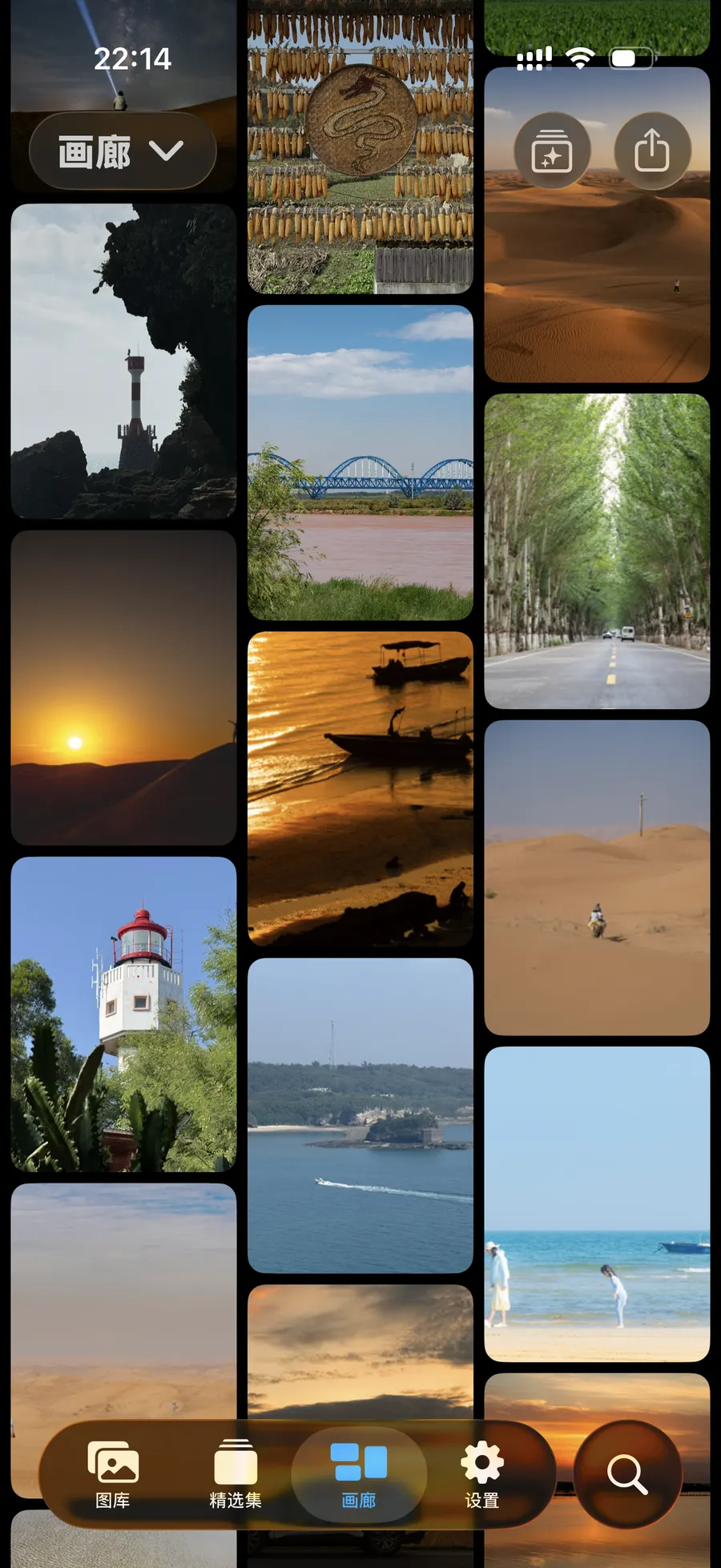 Gallery · photo wall